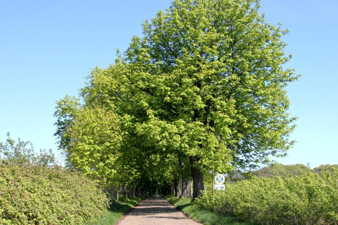 Viel Natur, Idyllische Umgebung, Ruhige Lage - Ferienpark Neddesitz Fewo 299 Exteriér fotografie